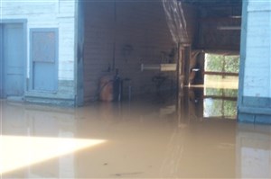 21698_large