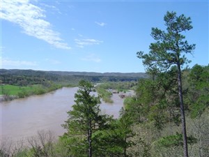 21706_large