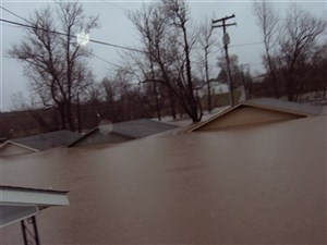21717_large
