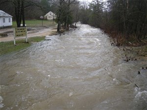 21723_large