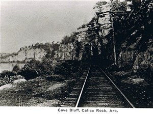 22851_large