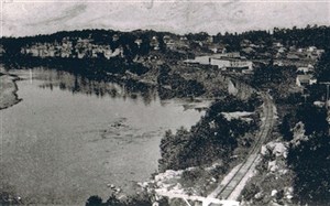 22853_large