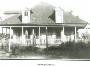 22893_large