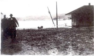 25932_large